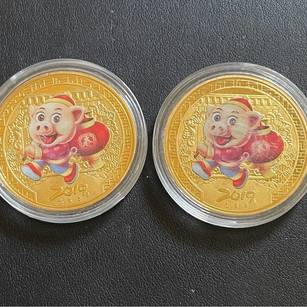 Golden Piggy Coin Toy Set